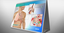 Displays