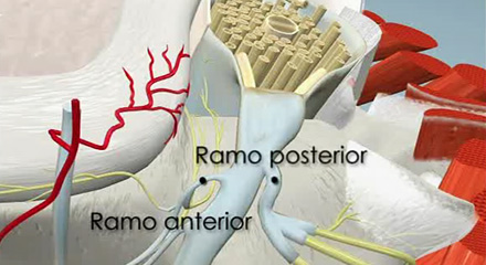 Interactivo-gepm